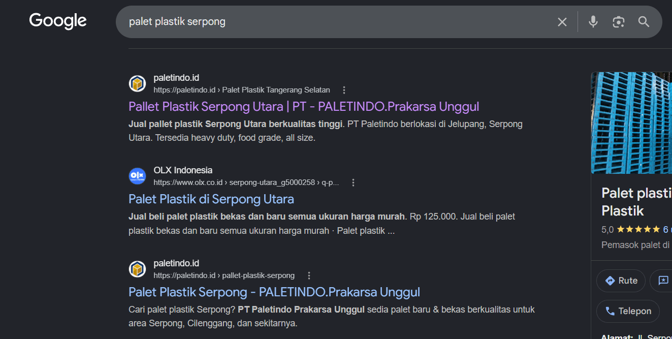 Bukti Ranking Google palet plastik serpong